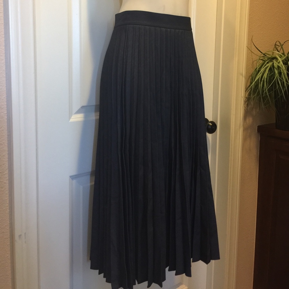 NWT Zara Skirt🌟
